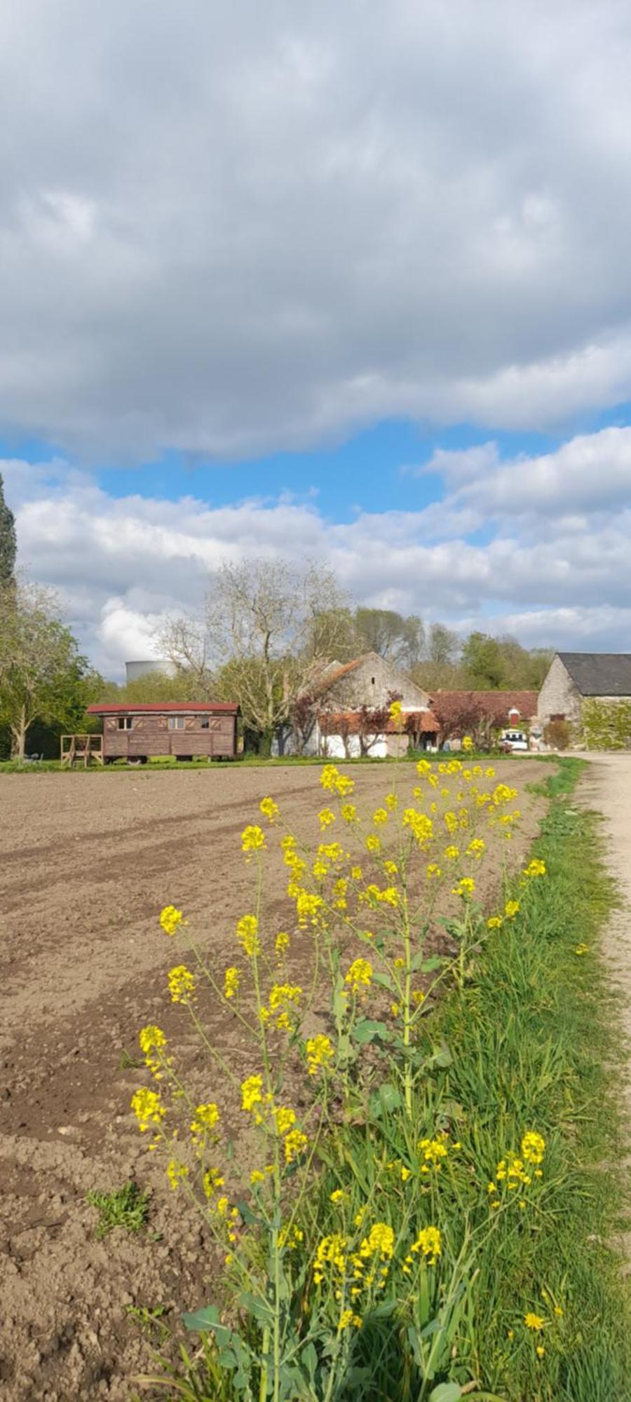 La Ferme De L'Isle Et Sa Roulotte Bed & Breakfast Avaray ภายนอก รูปภาพ